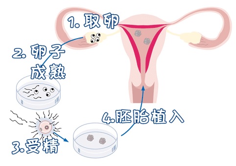 实验室 Fig.01